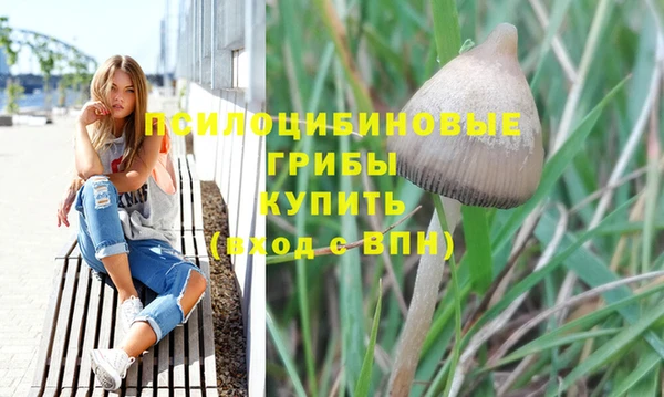 каннабис Аркадак